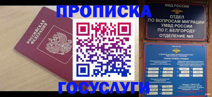 прописка законно в Курчалом