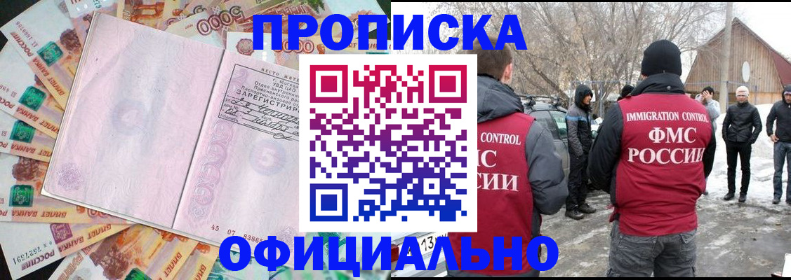 прописка поиск в Курчалом